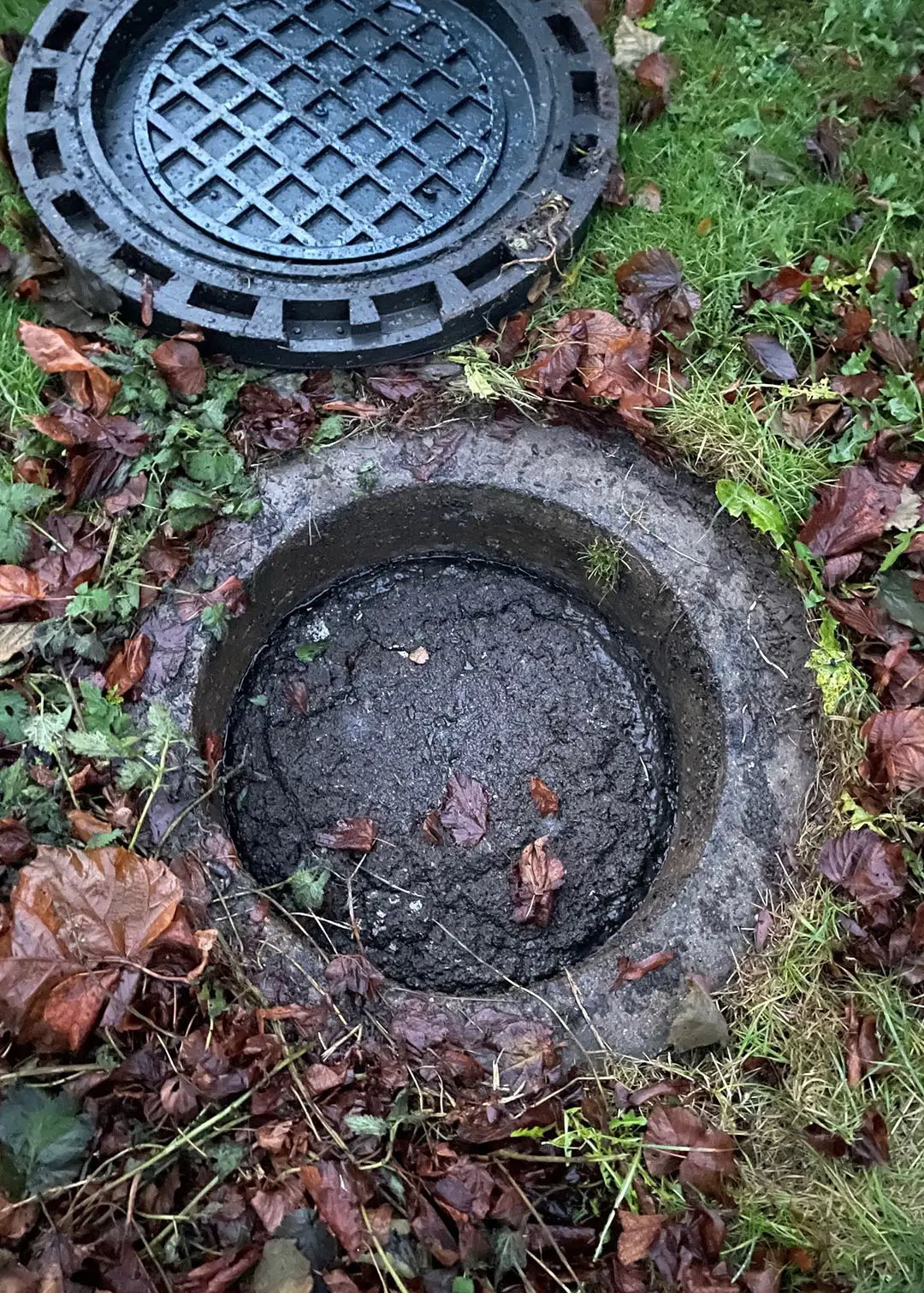 tømning af septiktank i kolonihave